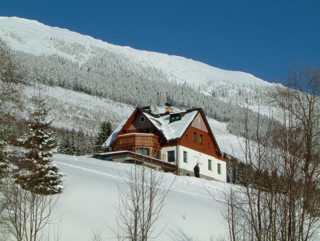 Pension Pohoda Spindleruv Mlyn Exterior photo